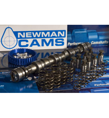 Rover/MG -Newman CAMS -...